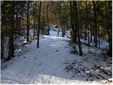 Ivarčko jezero - Dom na Uršlji gori